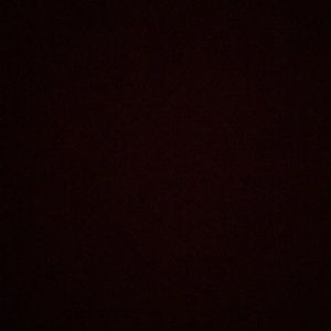 Meet your Posher, Randy